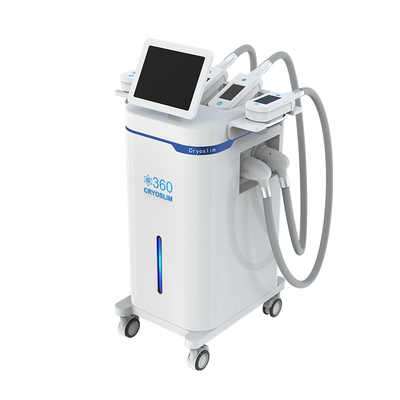 comprar 2022 Profesional de la pérdida de peso de la escultura corporal 4 manijas 360 Cryolipolysis máquina de eliminación de grasa online manufacture