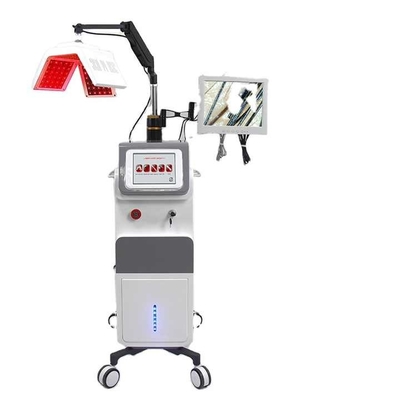 Laser + LED terapia de crecimiento del cabello / cuidado del cabello / máquina de crecimiento del cabello contra la pérdida del cabello